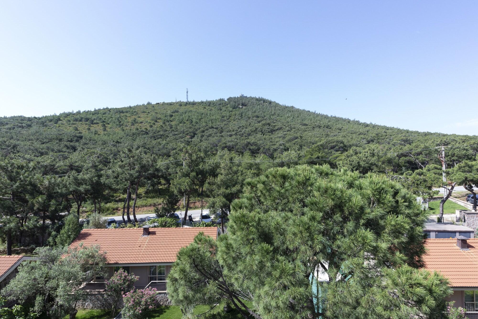 Hotel D - Ayvalı